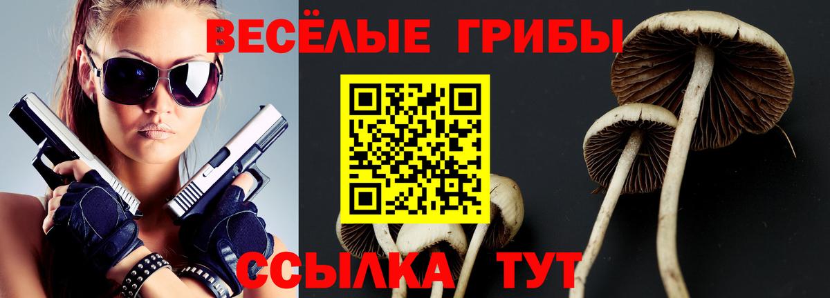 Псилоцибиновые грибы Cubensis Тосно