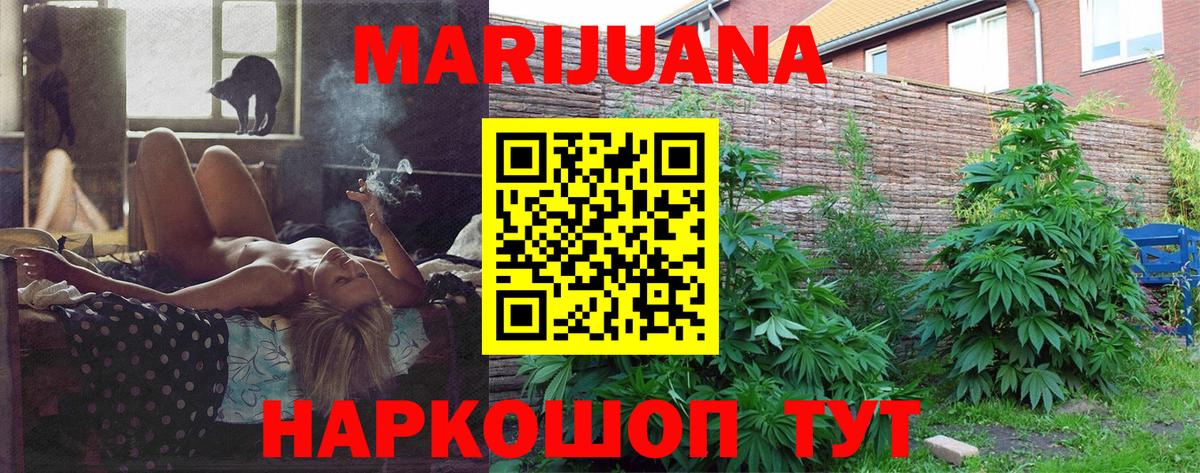 Тосно  Конопля сатива  Бошки Шишки планчик  Вход с VPN 